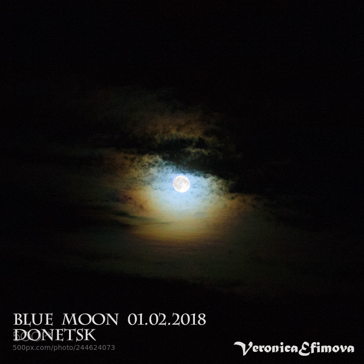 Canon EOS 1000D (EOS Digital Rebel XS / EOS Kiss F) sample photo. Bluemoon2018 photography