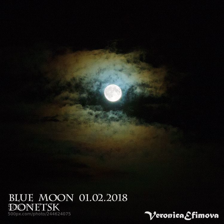 Canon EOS 1000D (EOS Digital Rebel XS / EOS Kiss F) sample photo. Bluemoon2018 photography