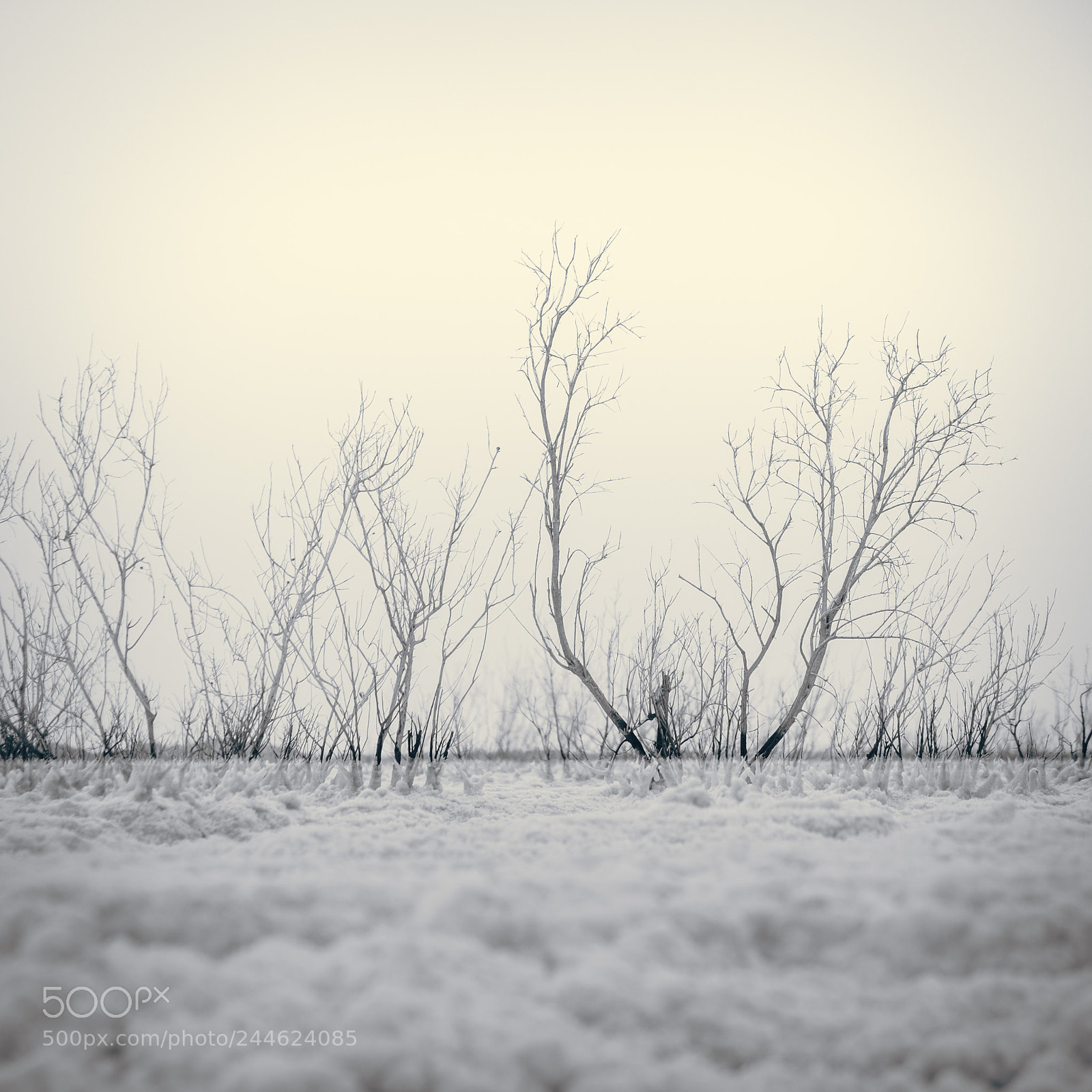 Fujifilm X-T2 sample photo. Salt lands photography