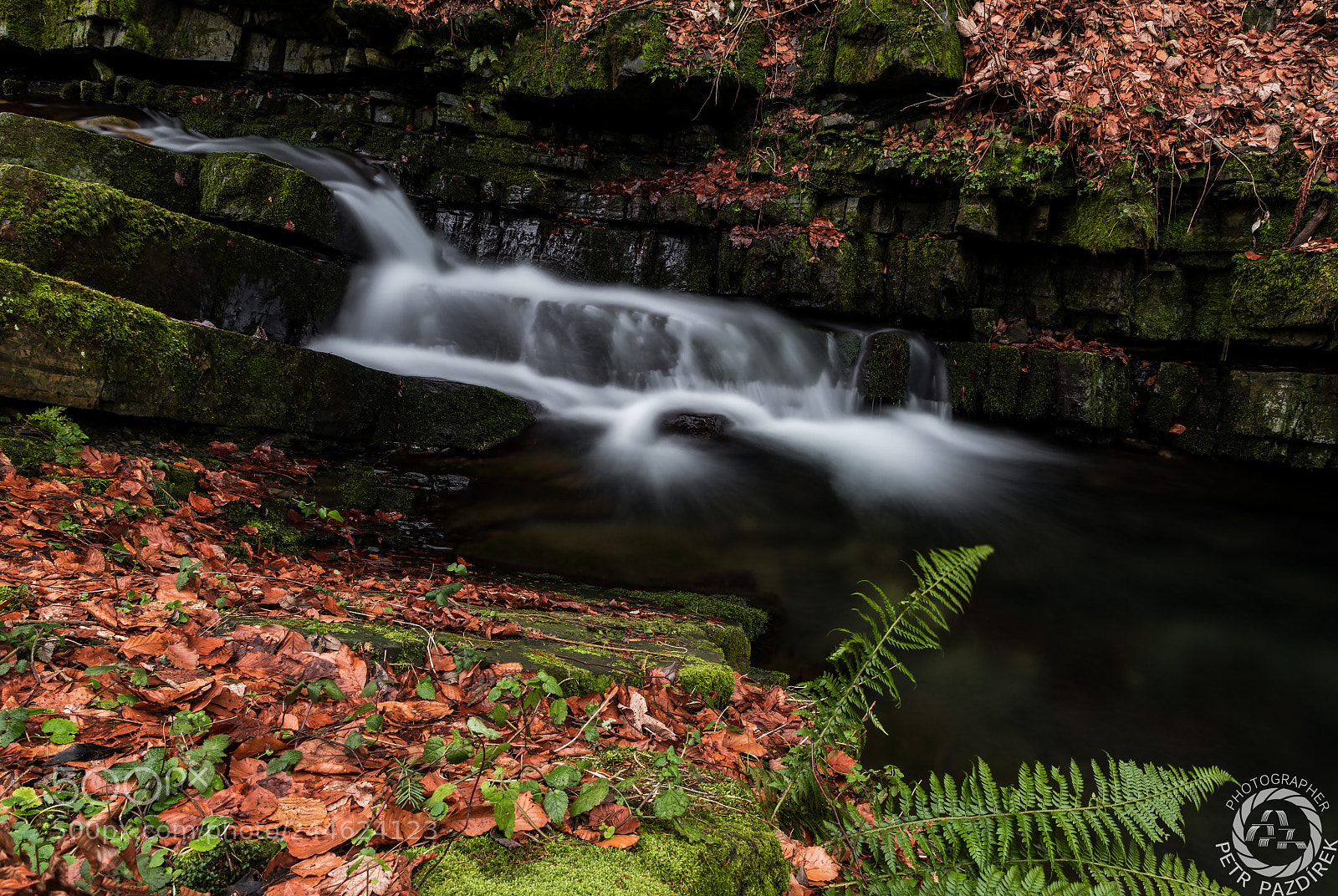 Nikon D850 sample photo. The corner of the photography