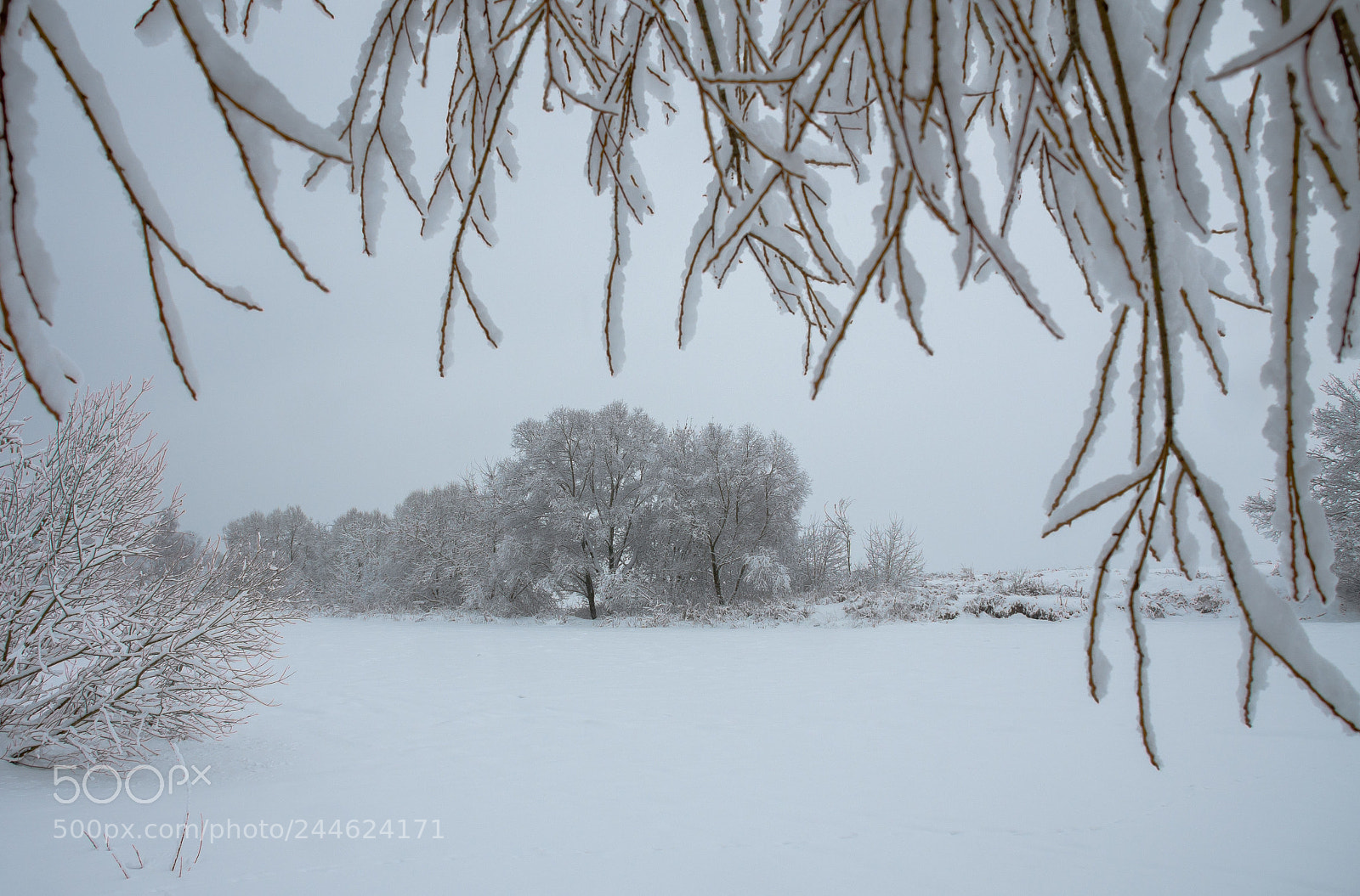 Nikon D500 sample photo. Десяточек минут зимней сказки photography