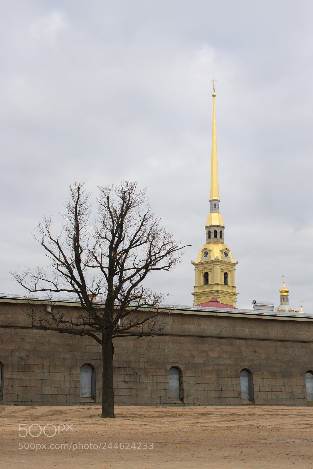 Canon EOS 1100D (EOS Rebel T3 / EOS Kiss X50) sample photo. Piter 1 photography