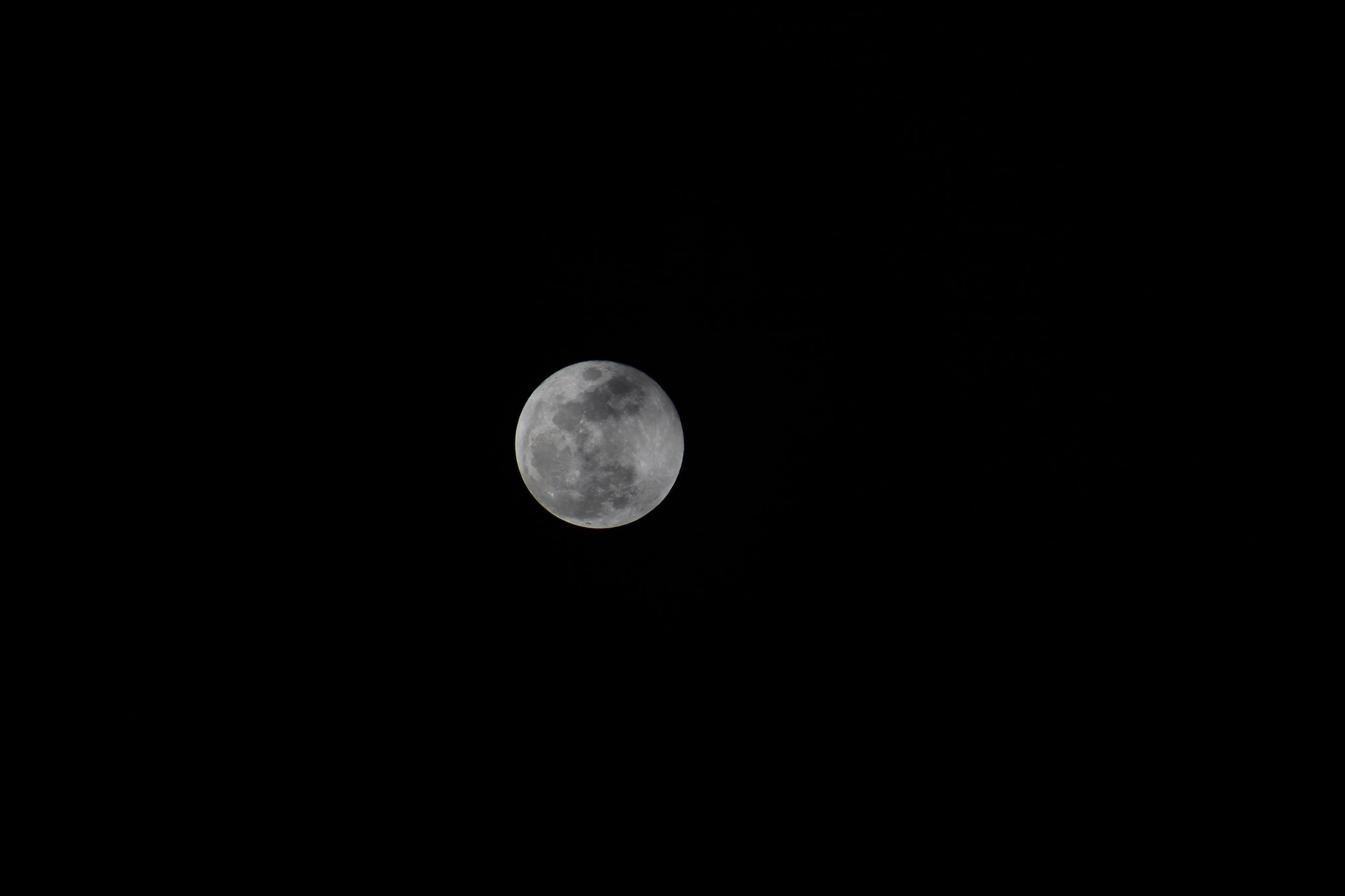EF75-300mm f/4-5.6 sample photo. Full photography