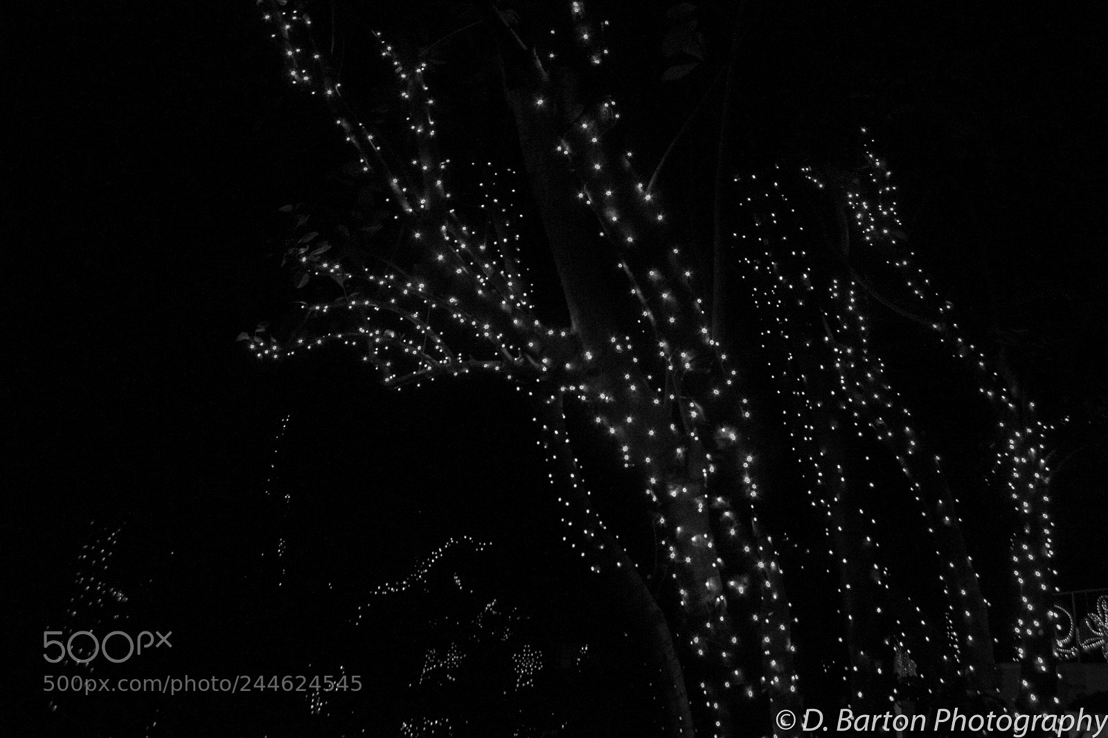 Canon EOS 350D (EOS Digital Rebel XT / EOS Kiss Digital N) sample photo. Starry photography