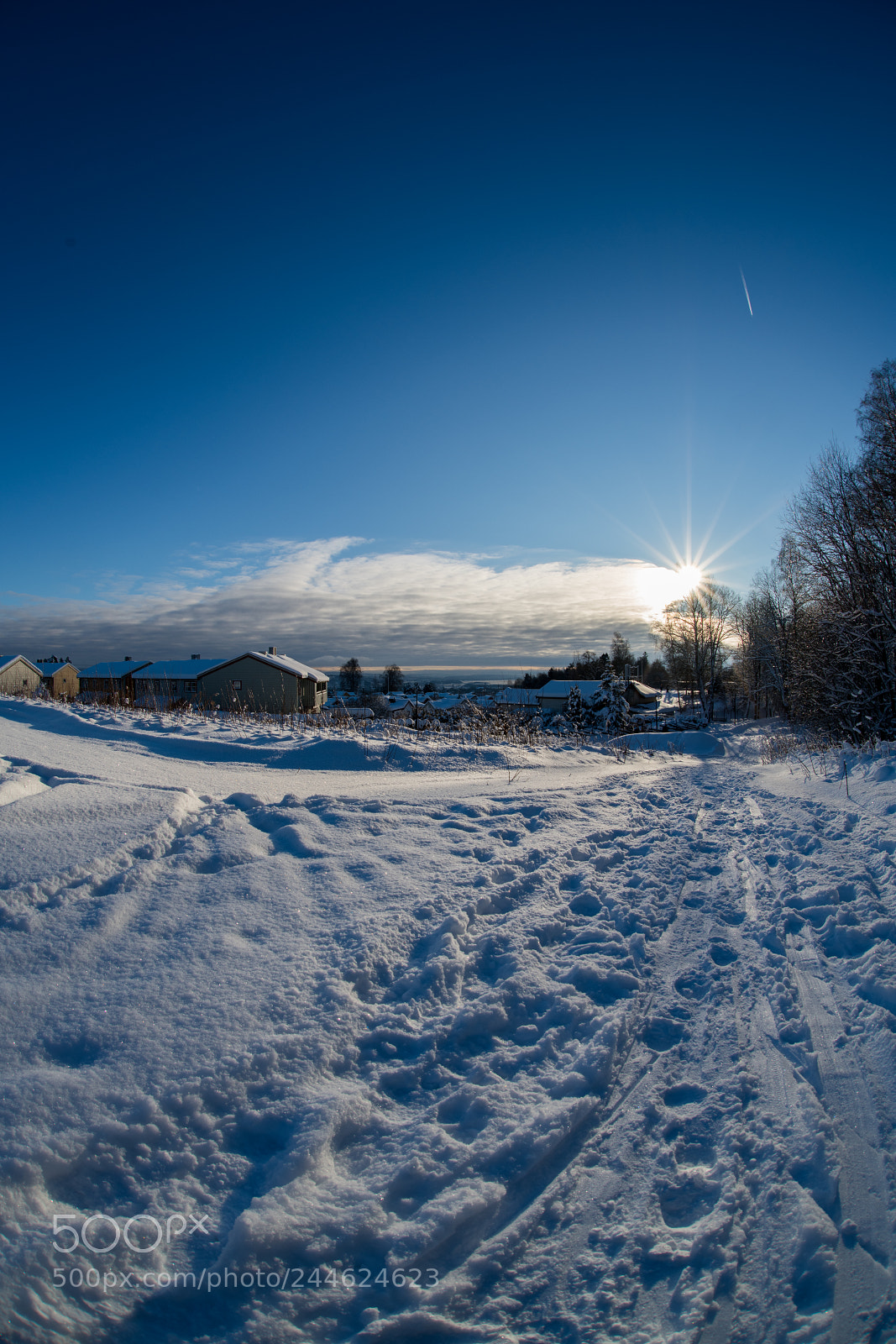 Nikon D850 sample photo. Sunny winterday 7 photography
