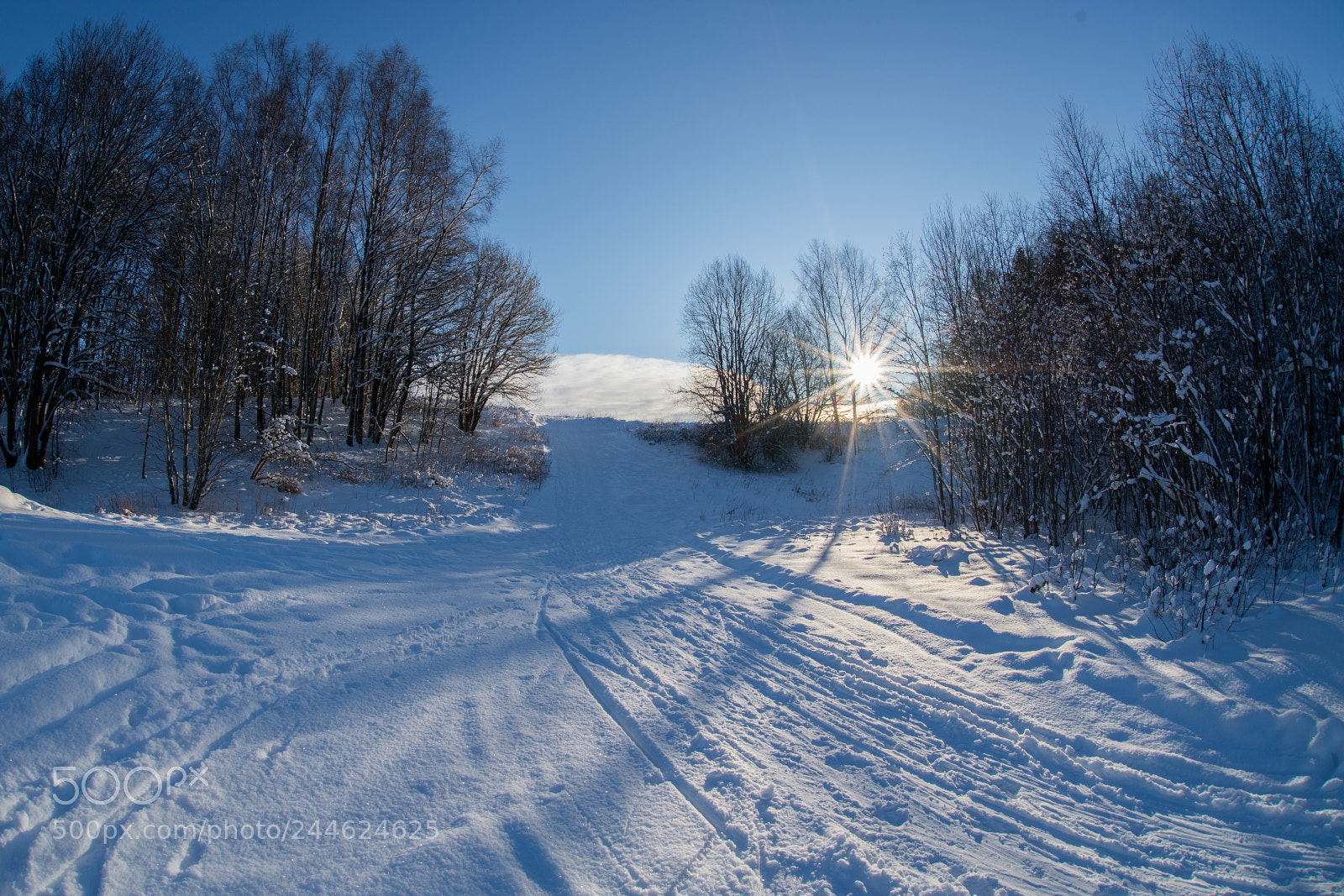 Nikon D850 sample photo. Sunny winterday 6 photography