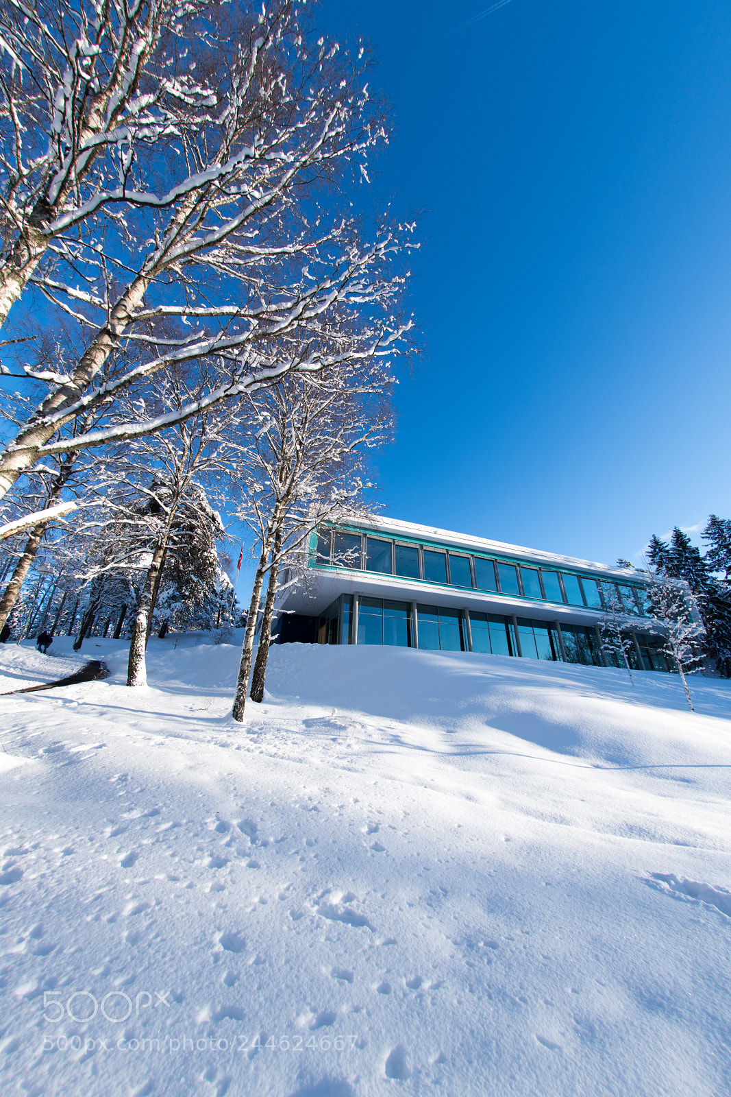 Nikon D850 sample photo. Sunny winterday 2 photography