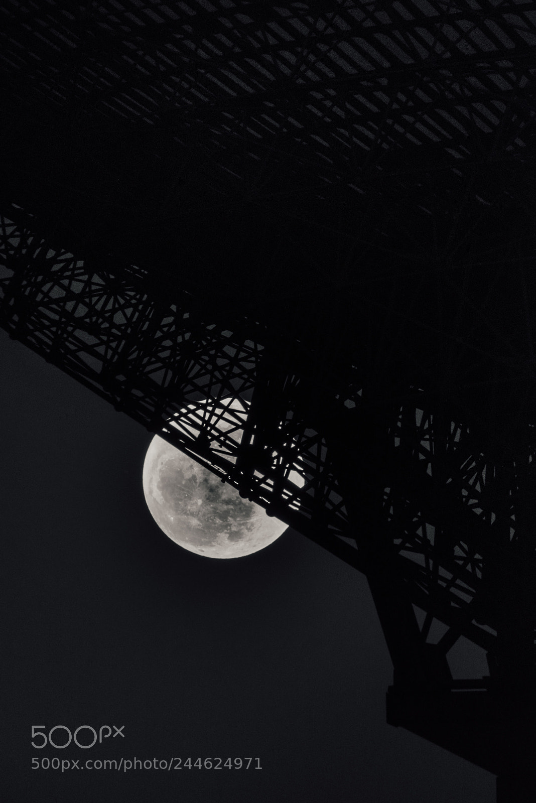 Nikon D810 sample photo. Super blue blood moon photography