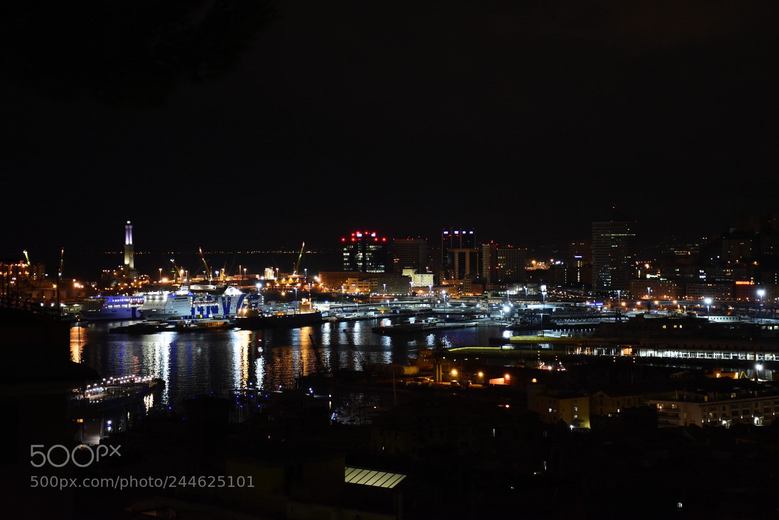 Nikon D7200 sample photo. Untitled photography