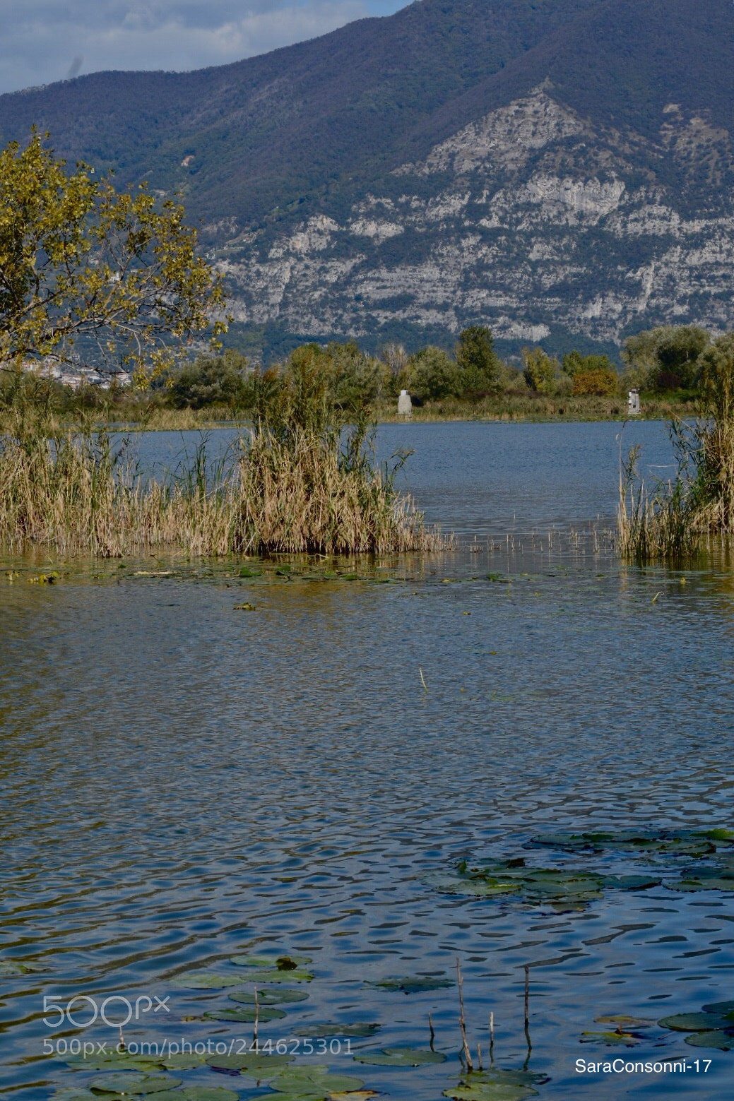 Nikon D7200 sample photo. Acqua photography