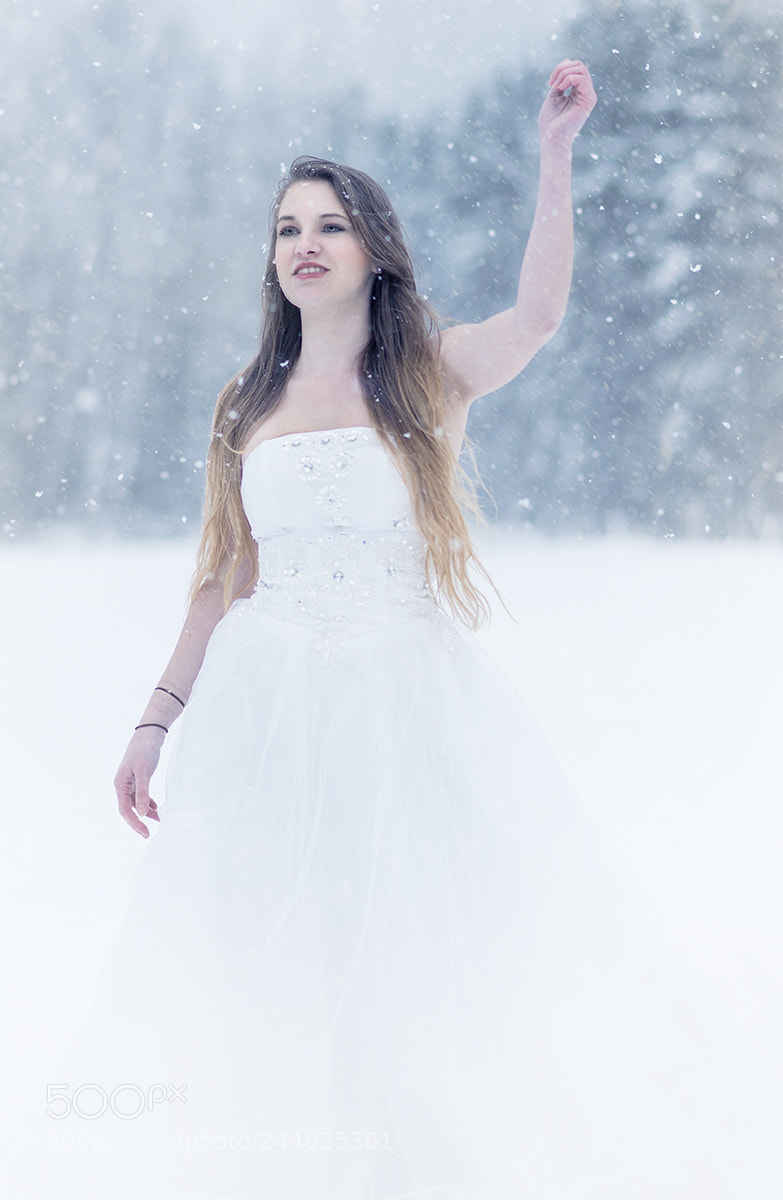 Nikon D800 sample photo. Snow sensation #2 photography