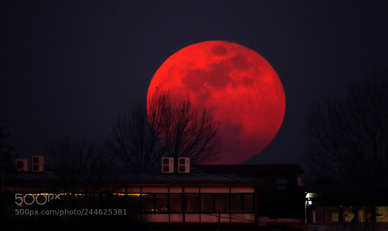 Canon PowerShot SX60 HS sample photo. Last night moon rising photography