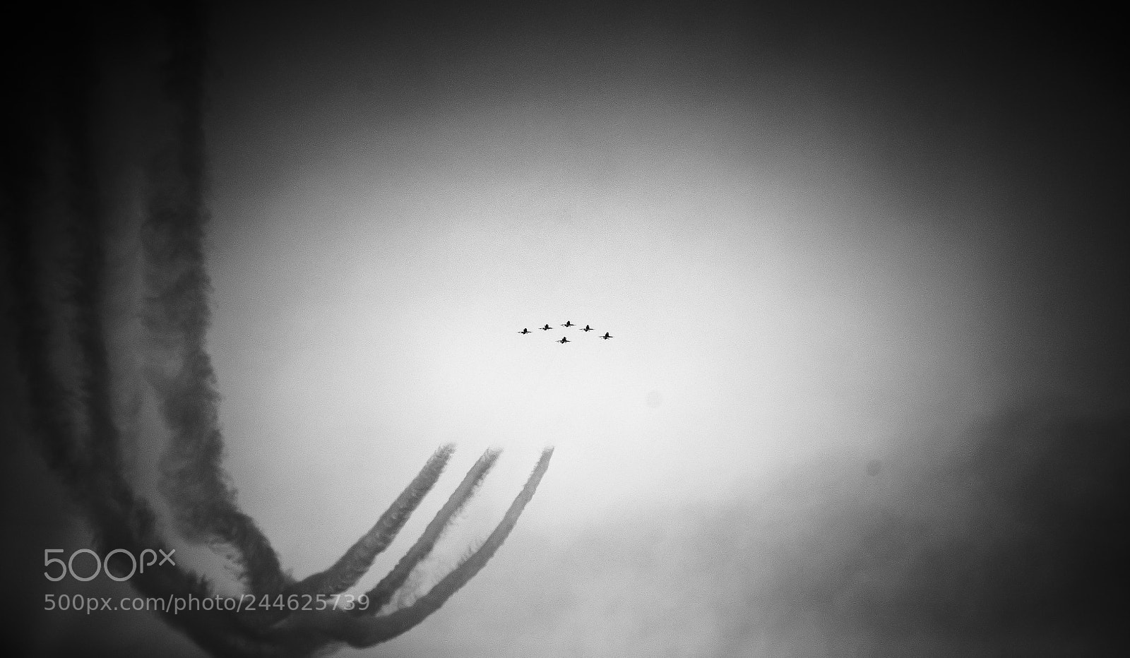 Canon EOS-1D X sample photo. Black&white photography