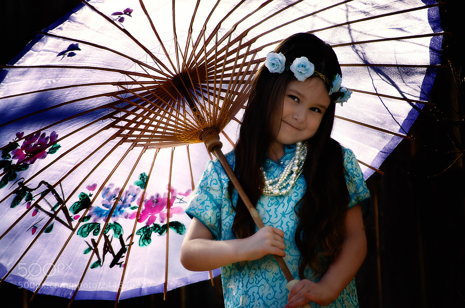 Nikon D5100 sample photo. Hello february... photography