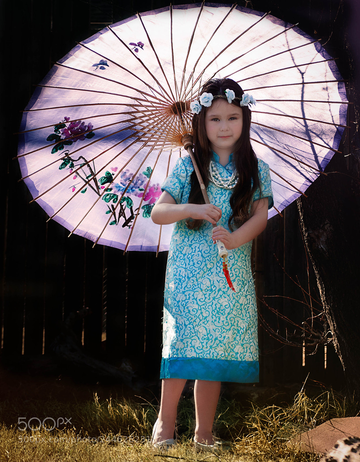Nikon D5100 sample photo. Hello february... photography