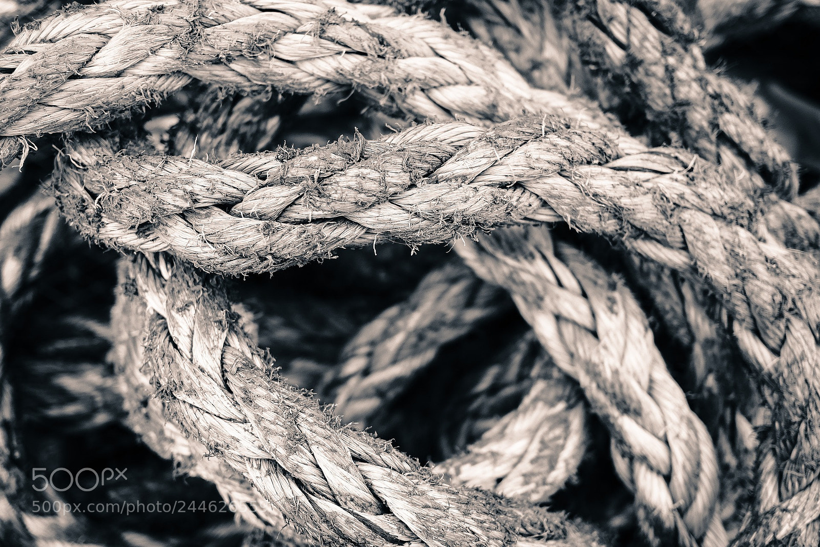 Panasonic Lumix DMC-GX8 sample photo. Rope photography