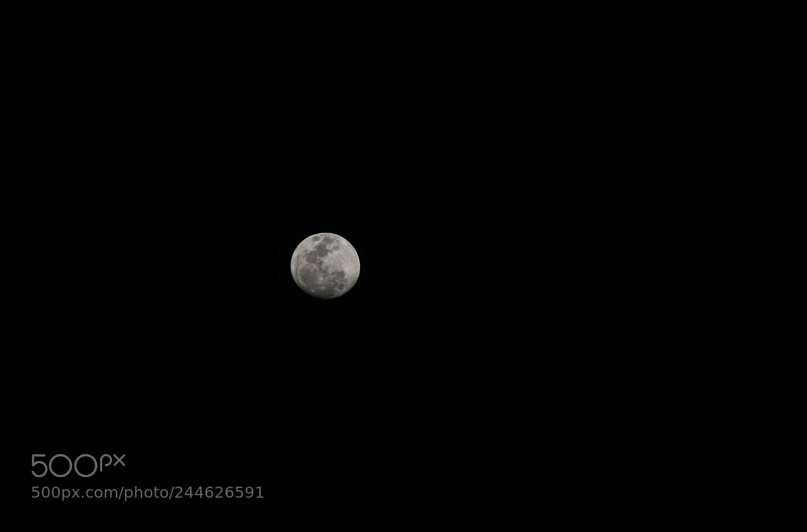 Nikon D610 sample photo. Almost full moon photography