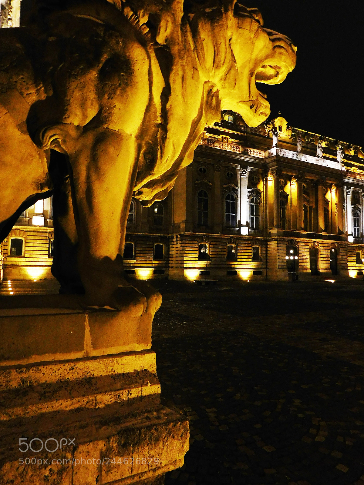Nikon Coolpix L840 sample photo. Roar photography