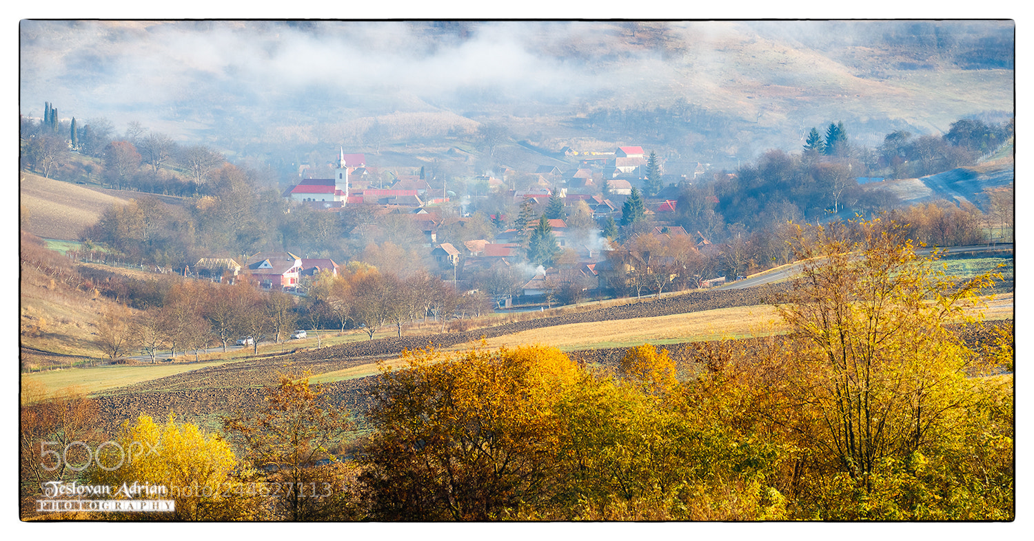 Canon EOS 7D Mark II sample photo. Morning dreams :) photography
