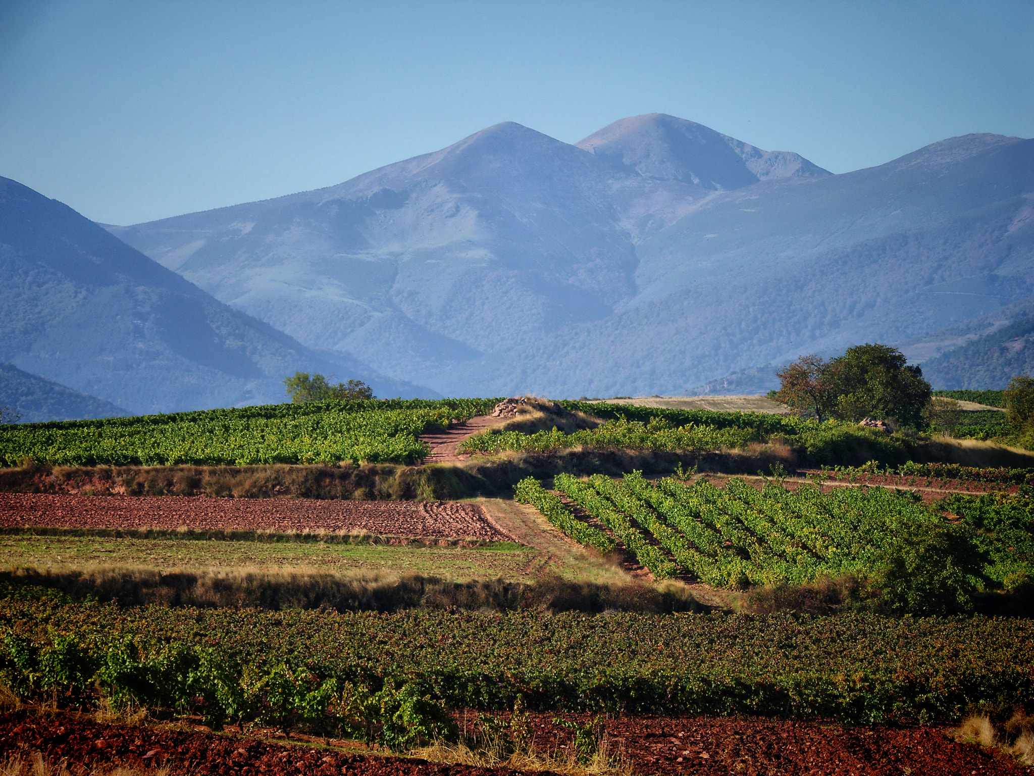 Samsung Pro 815 sample photo. Sierra de la demanda (la rioja) photography