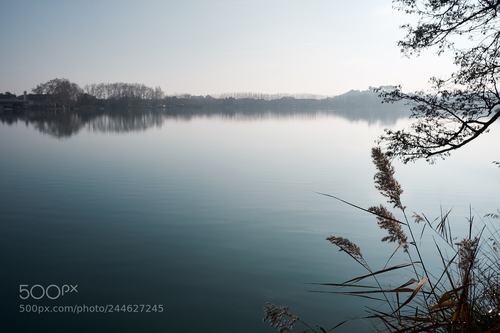 Fujifilm X-T20 sample photo. 39314349611.jpg photography