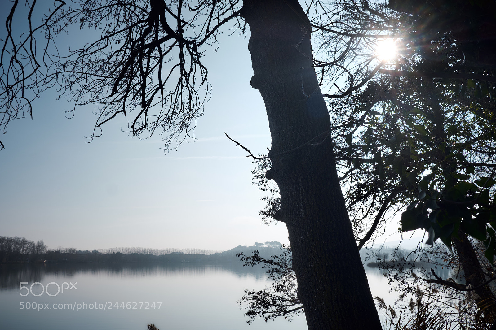 Fujifilm X-T20 sample photo. 27537544559.jpg photography