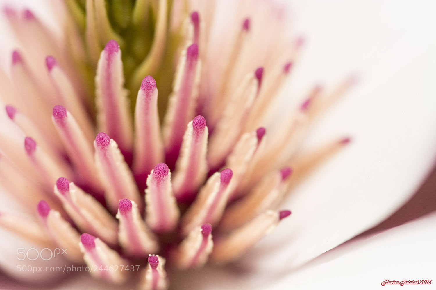 Nikon D7100 sample photo. Strange photography