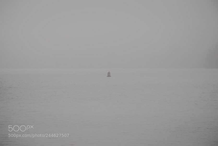 Nikon D80 sample photo. The fog photography