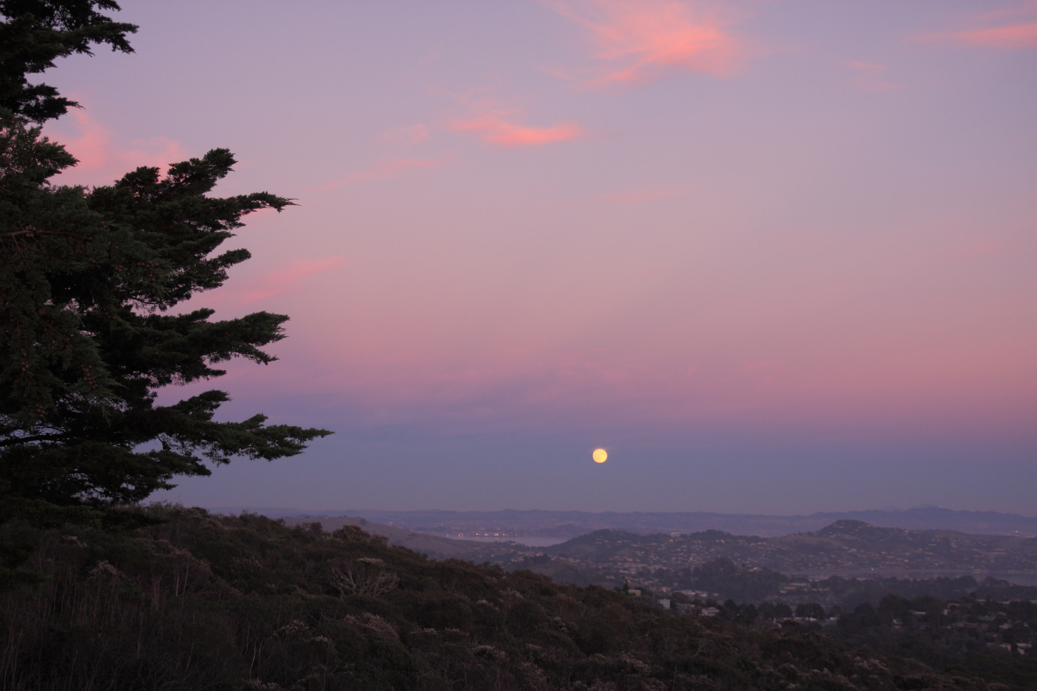 Canon EOS 40D + Sigma 17-70mm F2.8-4 DC Macro OS HSM sample photo. Twilight photography