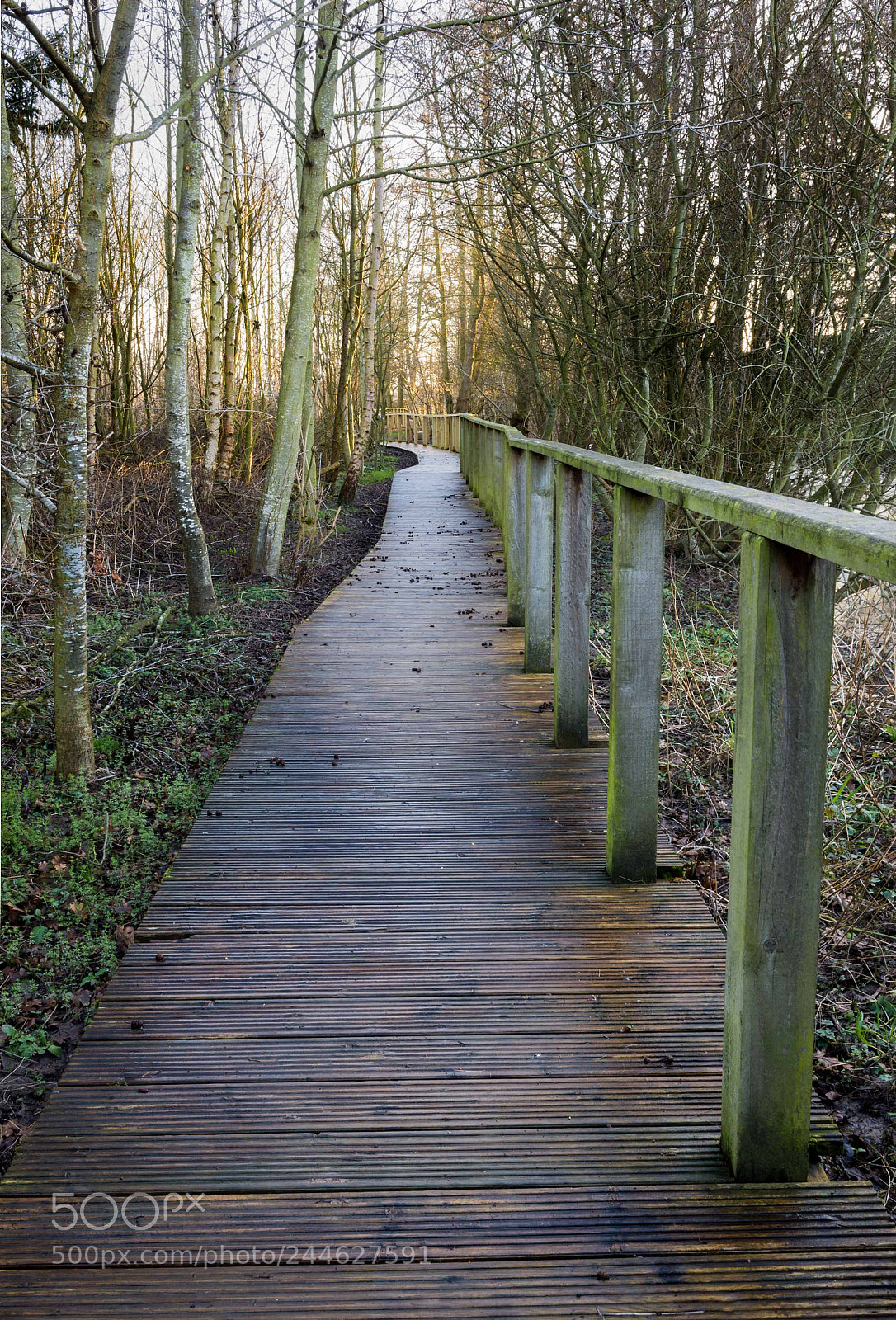Nikon D7200 sample photo. Light at end of photography
