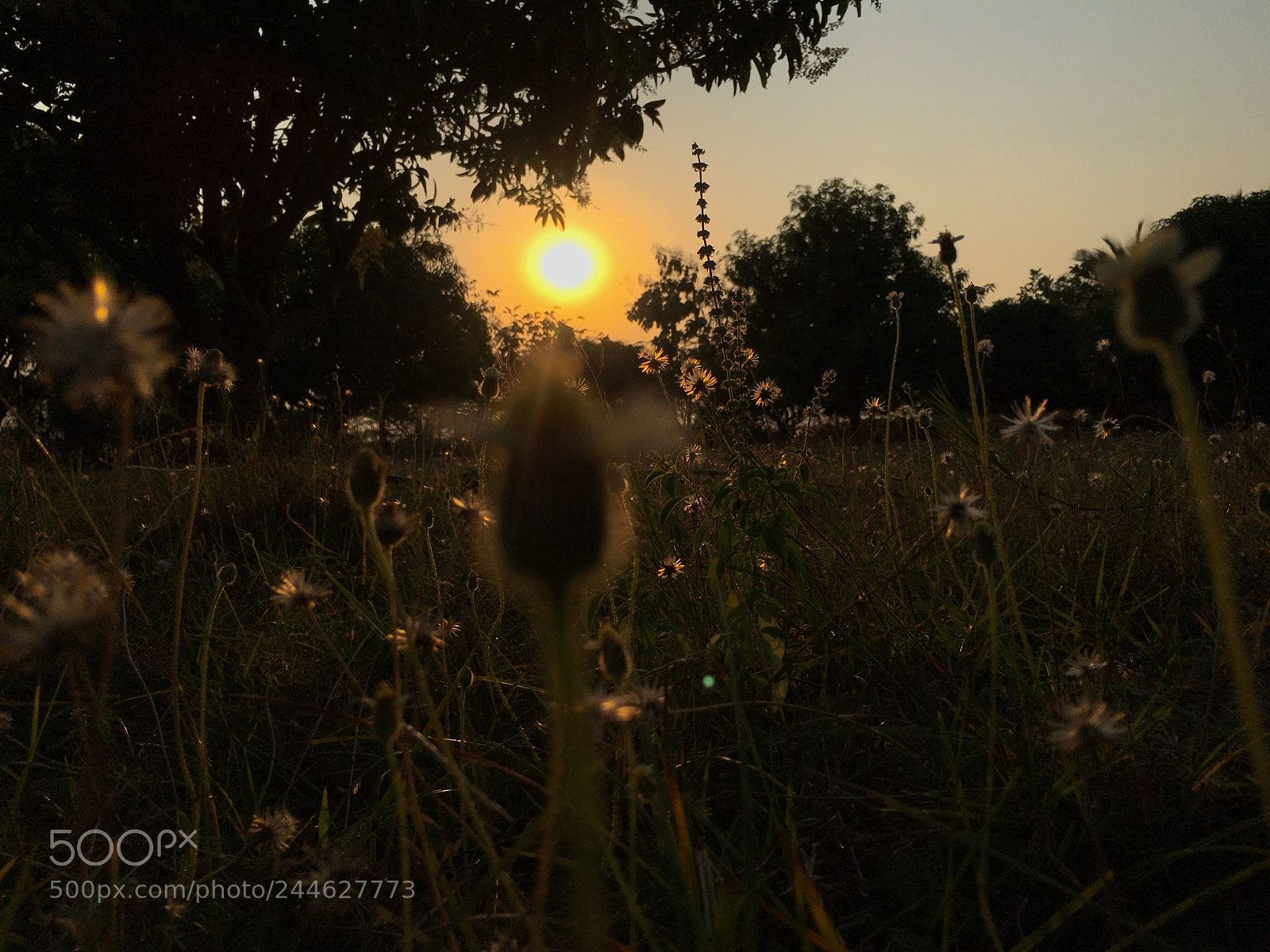 Apple iPhone 6s sample photo. Mother nature sunrise sky photography