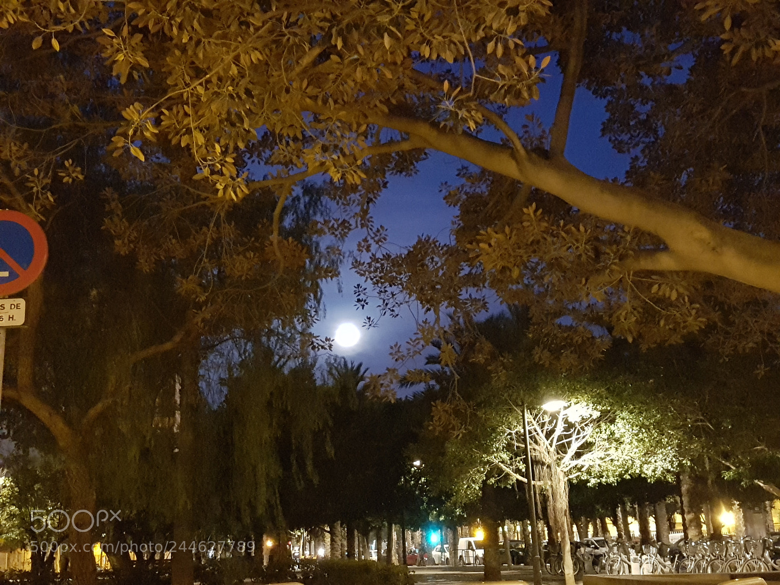 Samsung Galaxy S7 sample photo. Morning moon photography