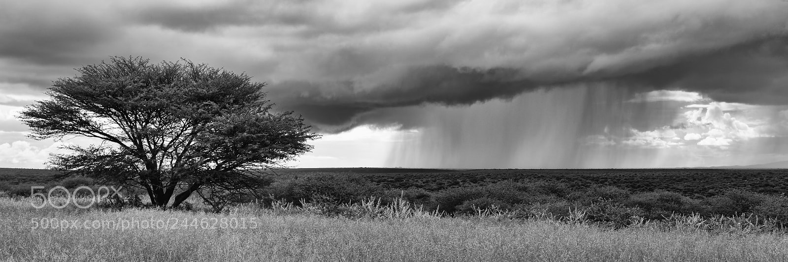 Nikon D800 sample photo. Rain in namibia photography