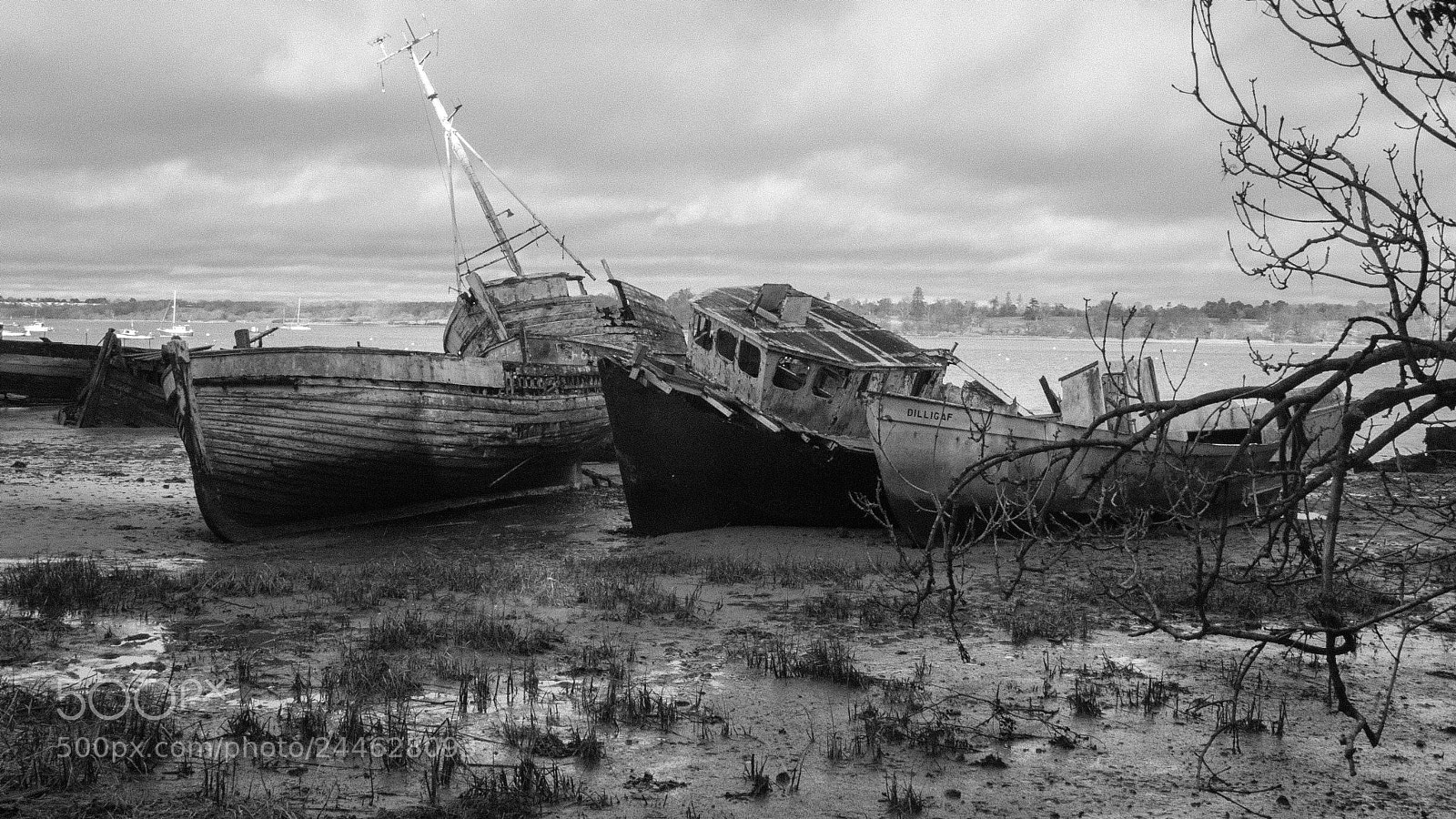 Nikon D300 sample photo. More old boats photography