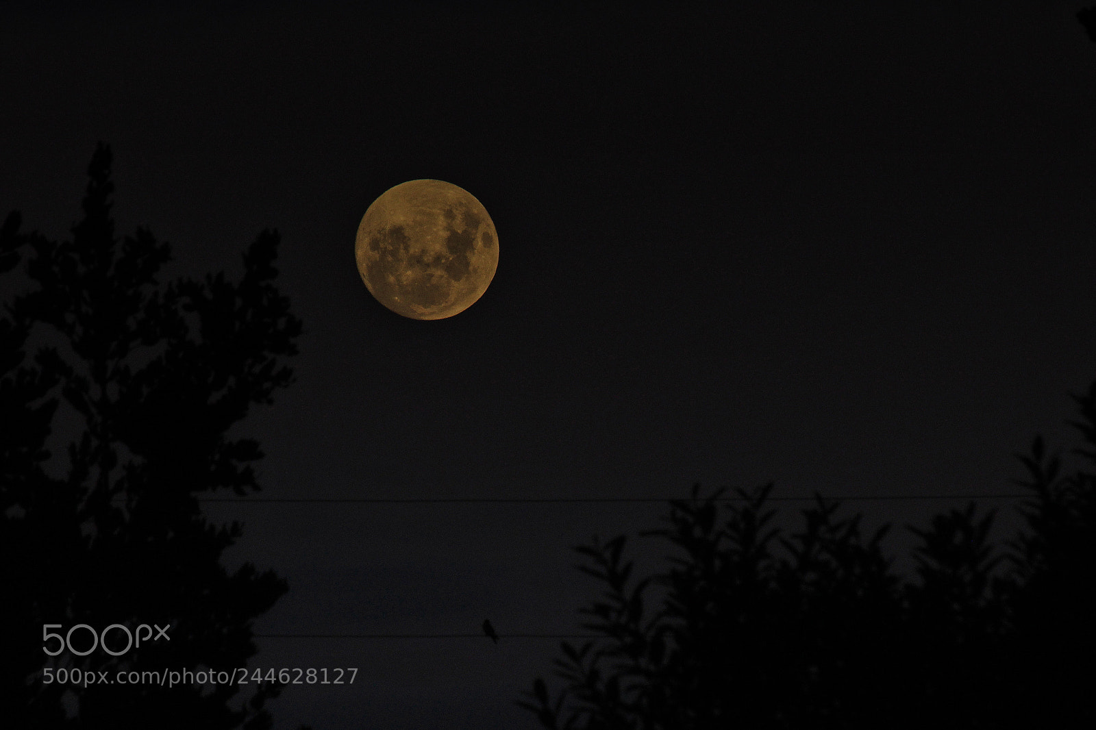 Canon EOS 600D (Rebel EOS T3i / EOS Kiss X5) sample photo. Nigth photography