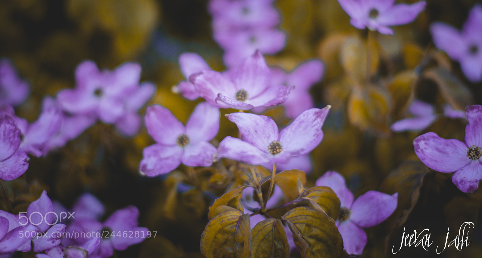 Nikon D3400 sample photo. Untitled photography