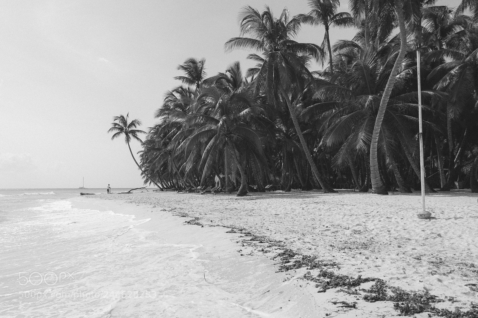 Nikon D3100 sample photo. Saona beach photography