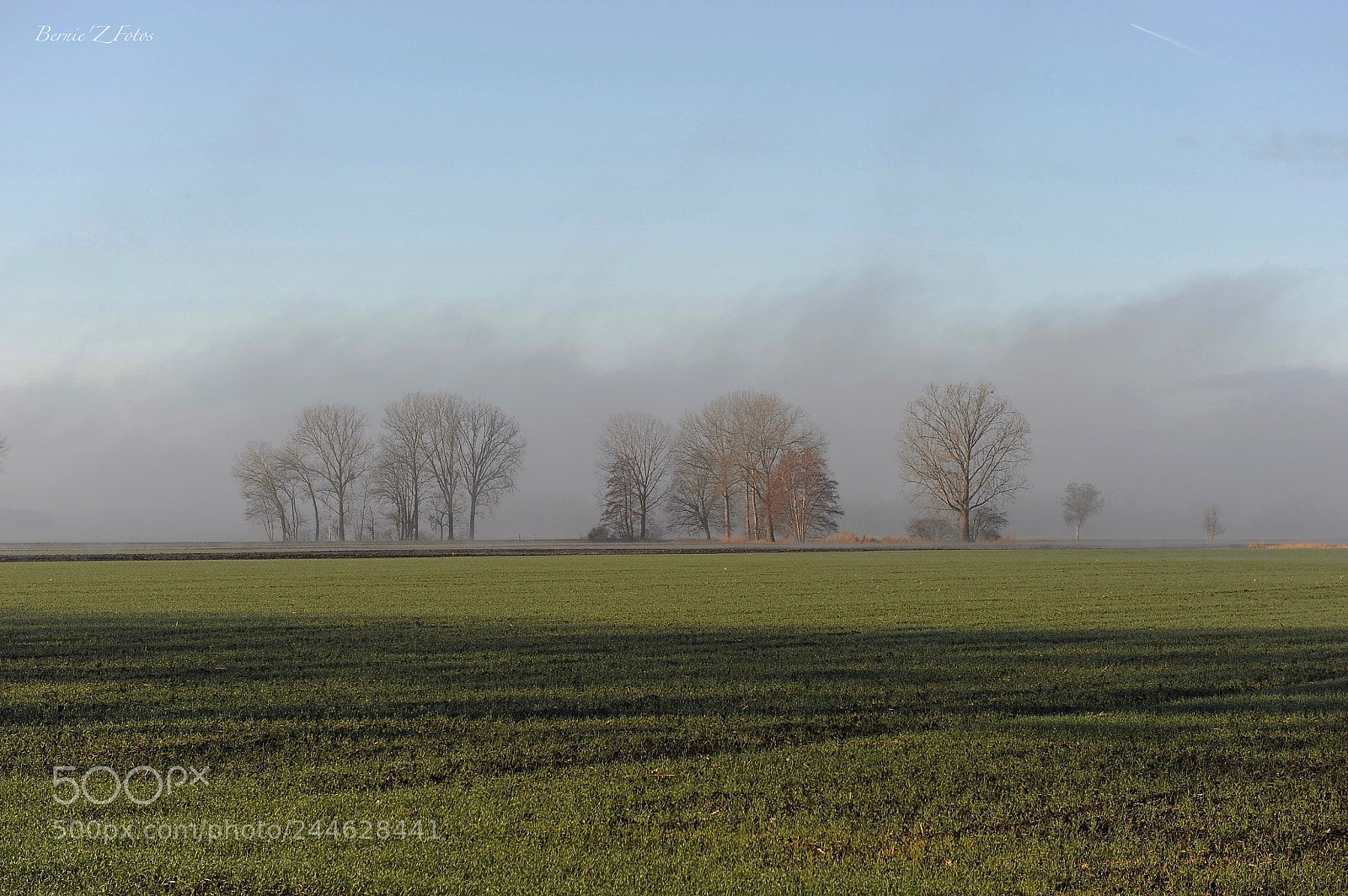 Nikon D3 sample photo. Fog photography
