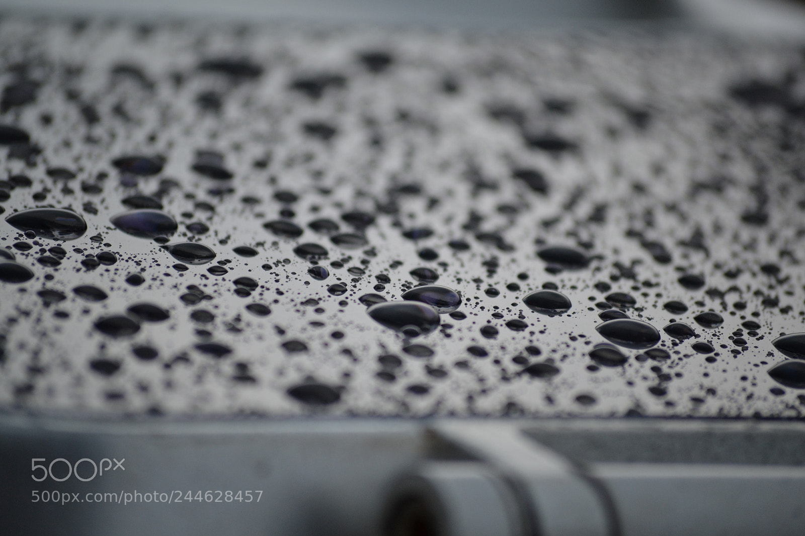 Nikon D3100 sample photo. Rainy day photography