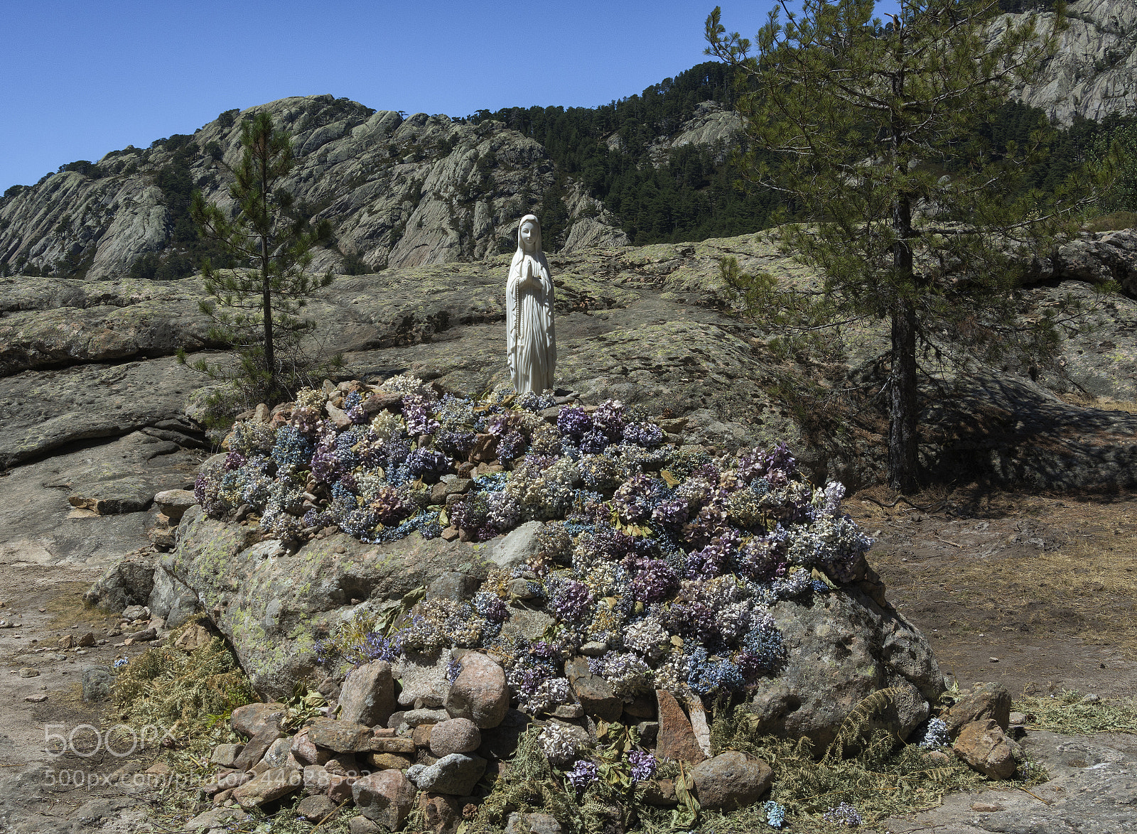 Nikon D7100 sample photo. Adoration hill photography