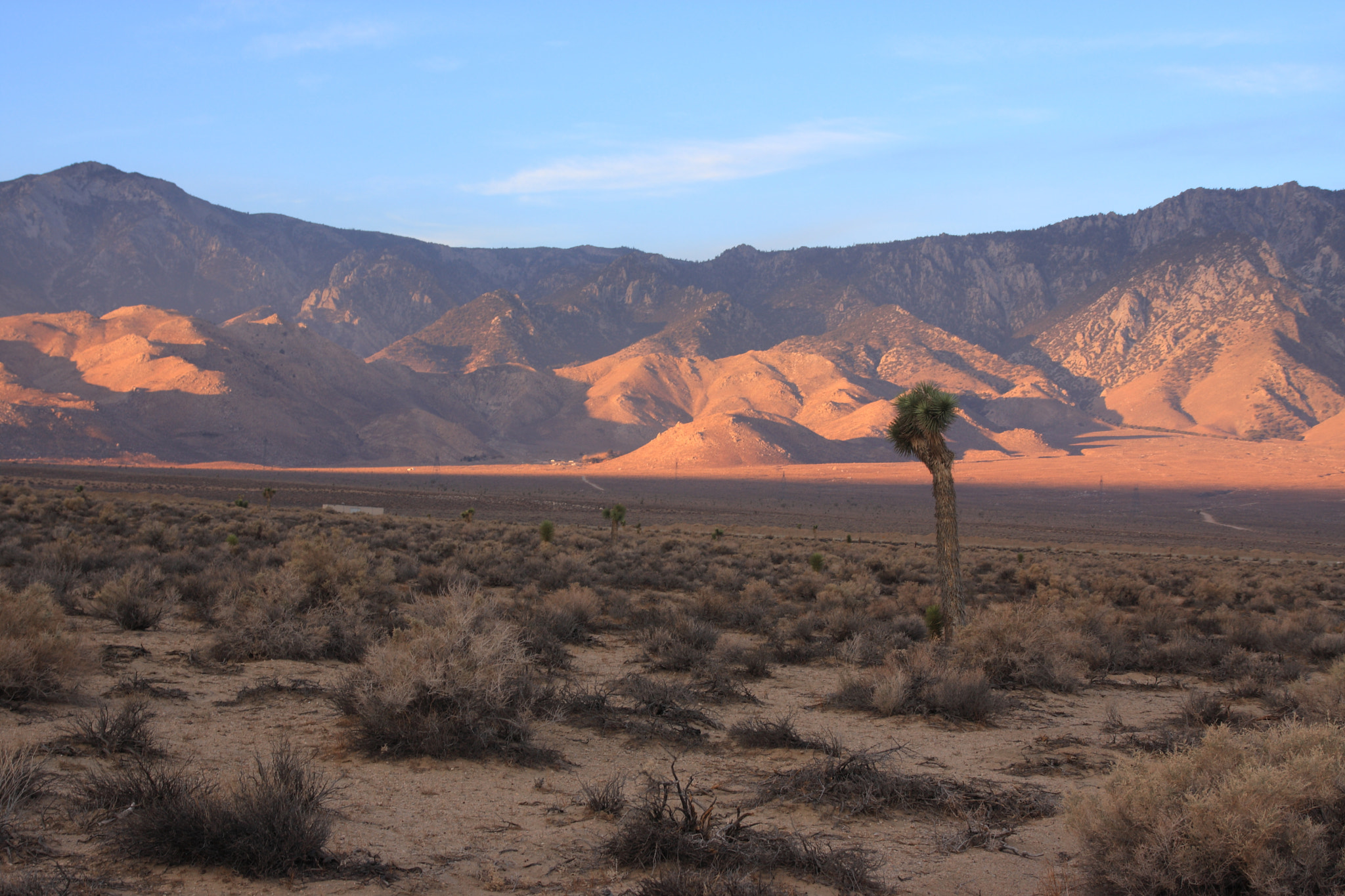 Sigma 17-70mm F2.8-4 DC Macro OS HSM sample photo. Desert photography