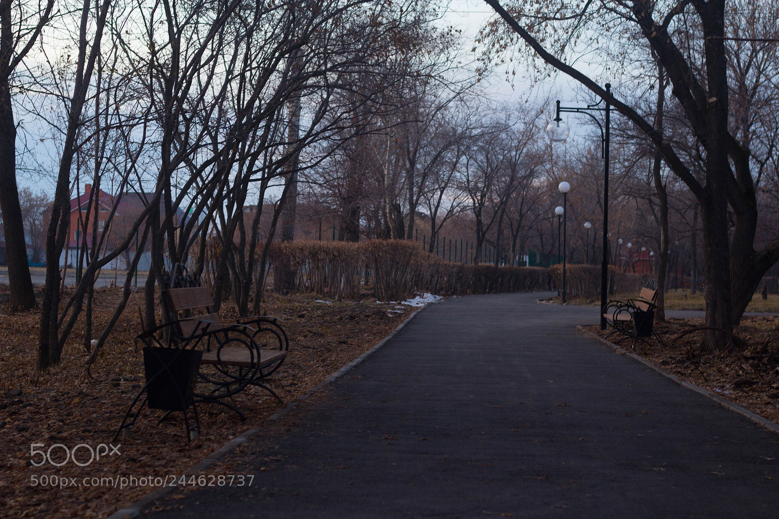 Canon EOS 60D sample photo. Img photography