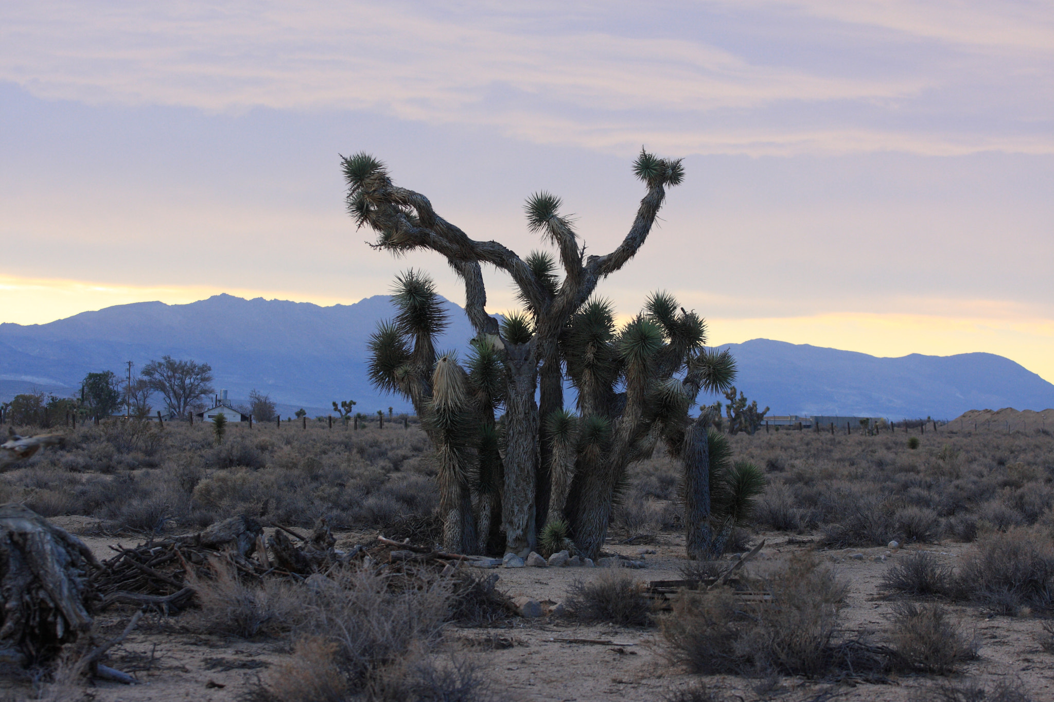 Canon EOS 40D + Canon EF 70-200mm F4L USM sample photo. Desert photography