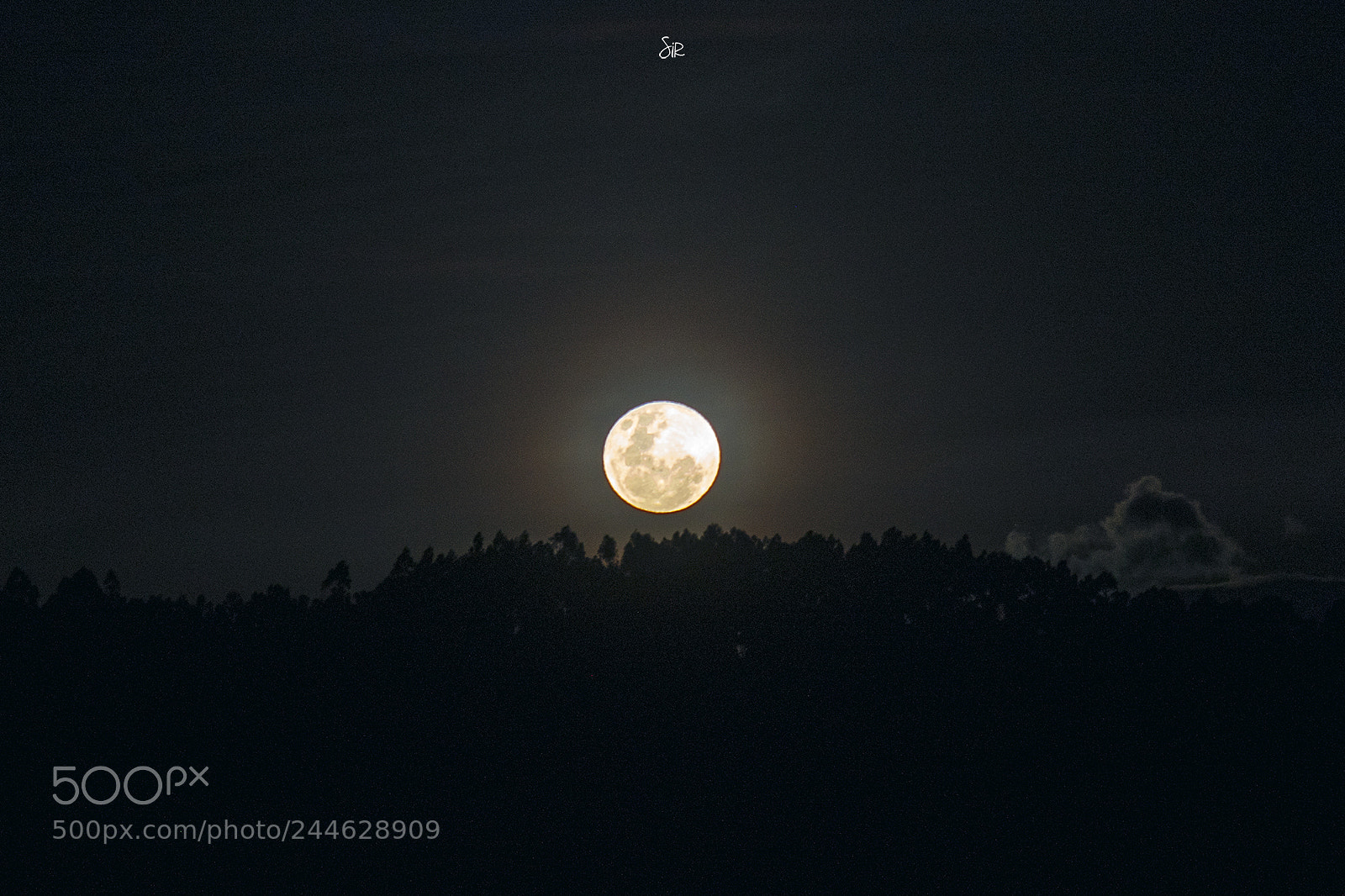 Nikon D7500 sample photo. Full moon - ilalo photography