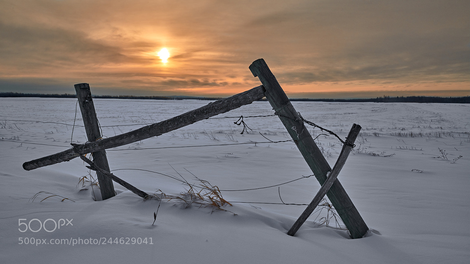 Nikon D850 sample photo. Dawn fence photography