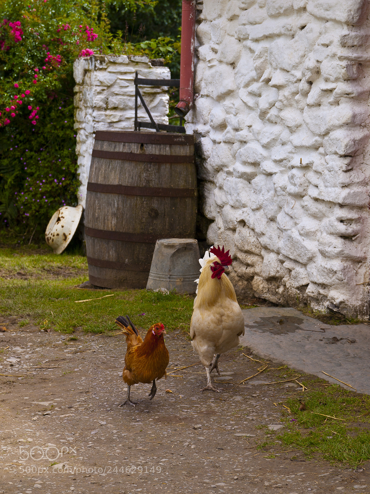 Olympus E-520 (EVOLT E-520) sample photo. A farm family photography