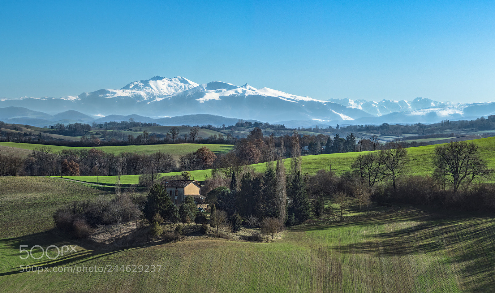 Nikon D5500 sample photo. Green and blue photography