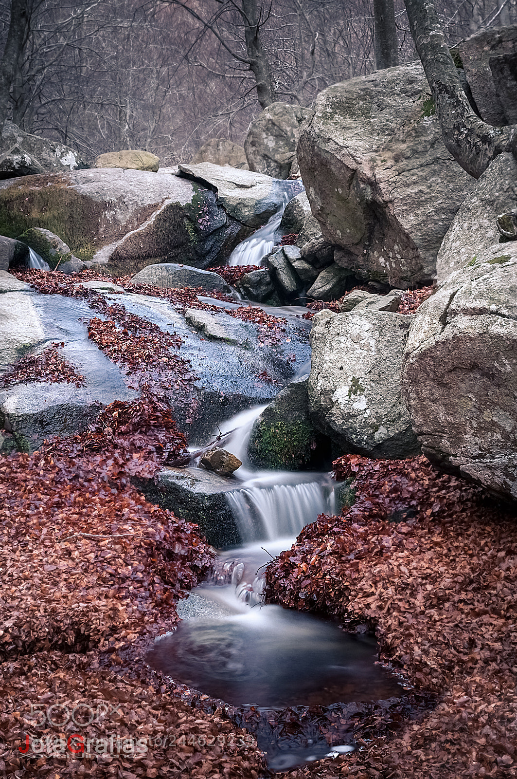Nikon D90 sample photo. Montseny photography