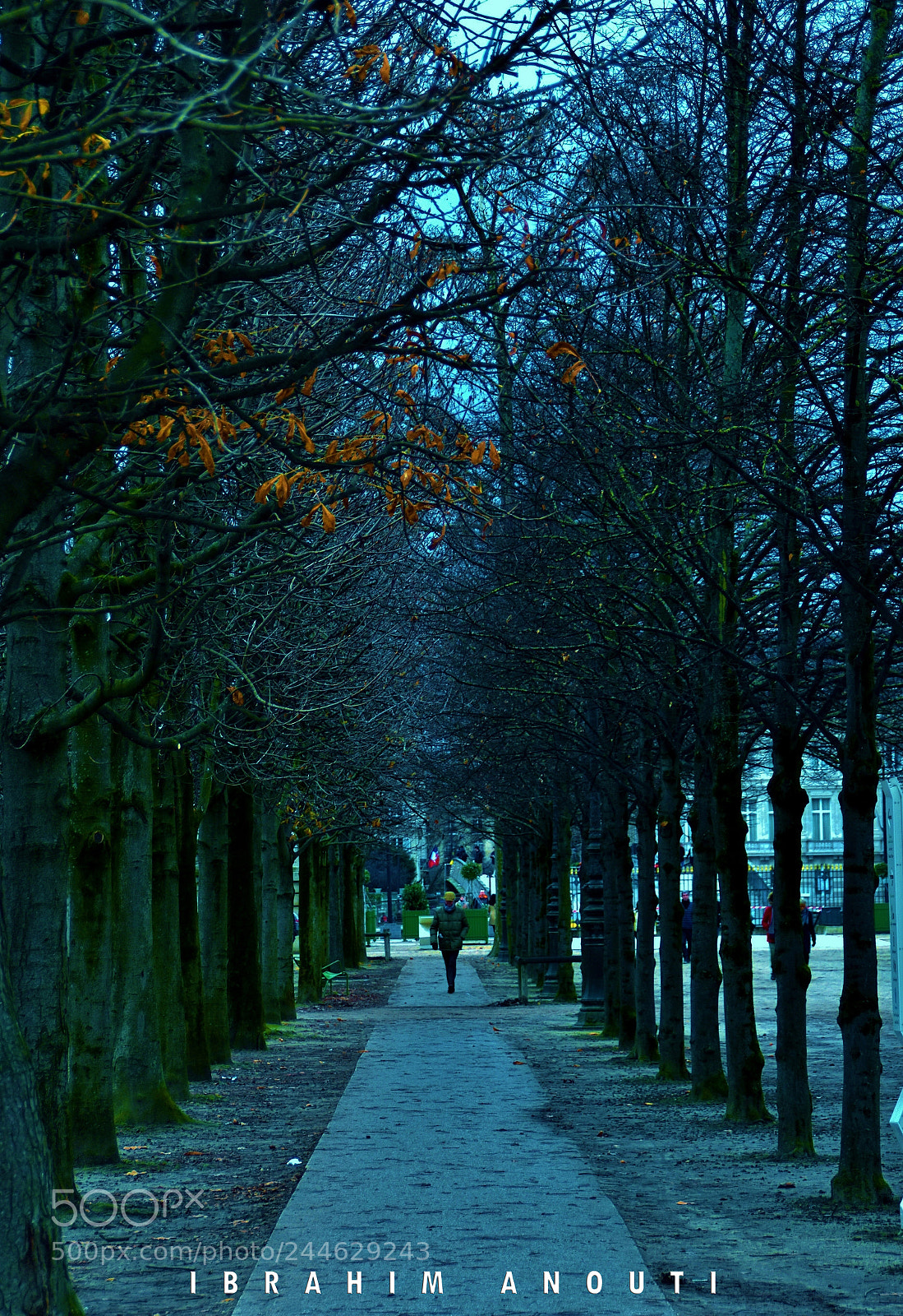 Nikon D5500 sample photo. Paris photography