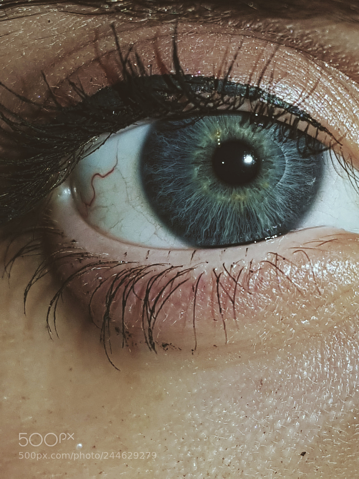 Samsung Galaxy S8+ sample photo. Untitled photography